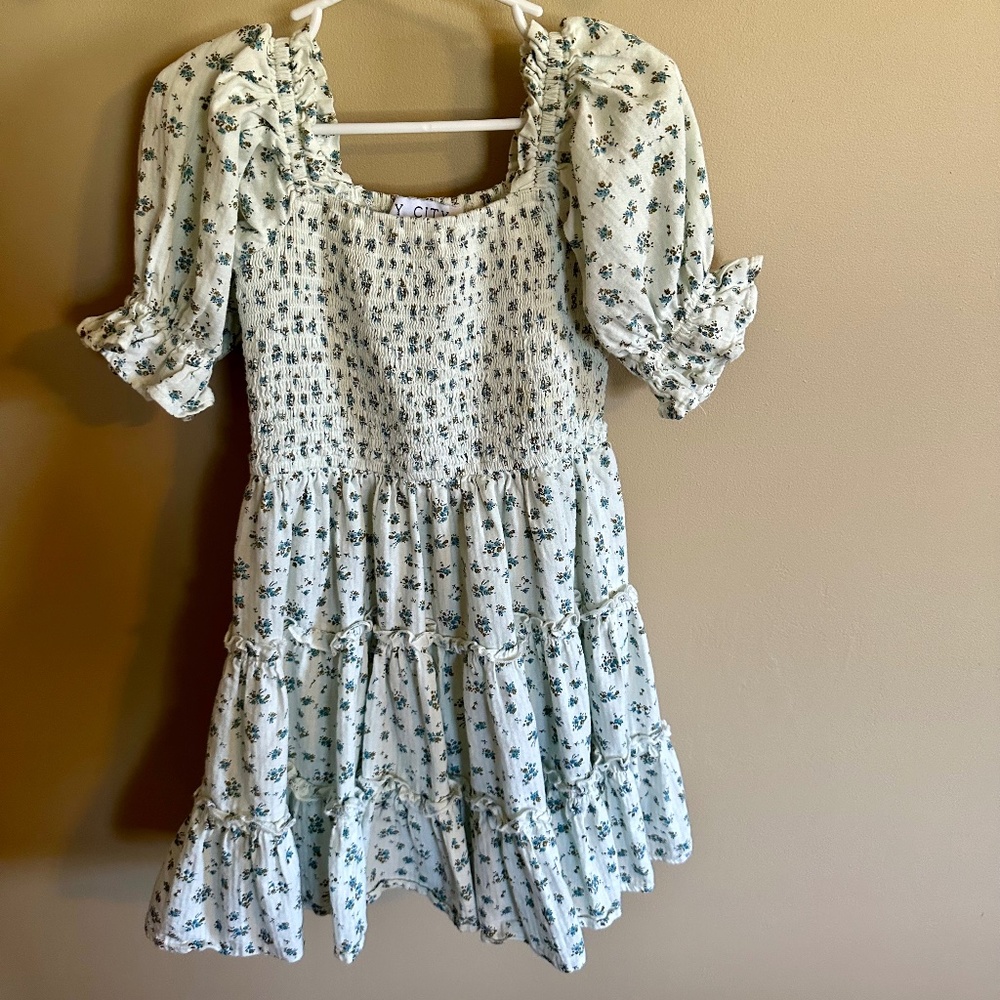 Ivy City Madeline Dress in Blue